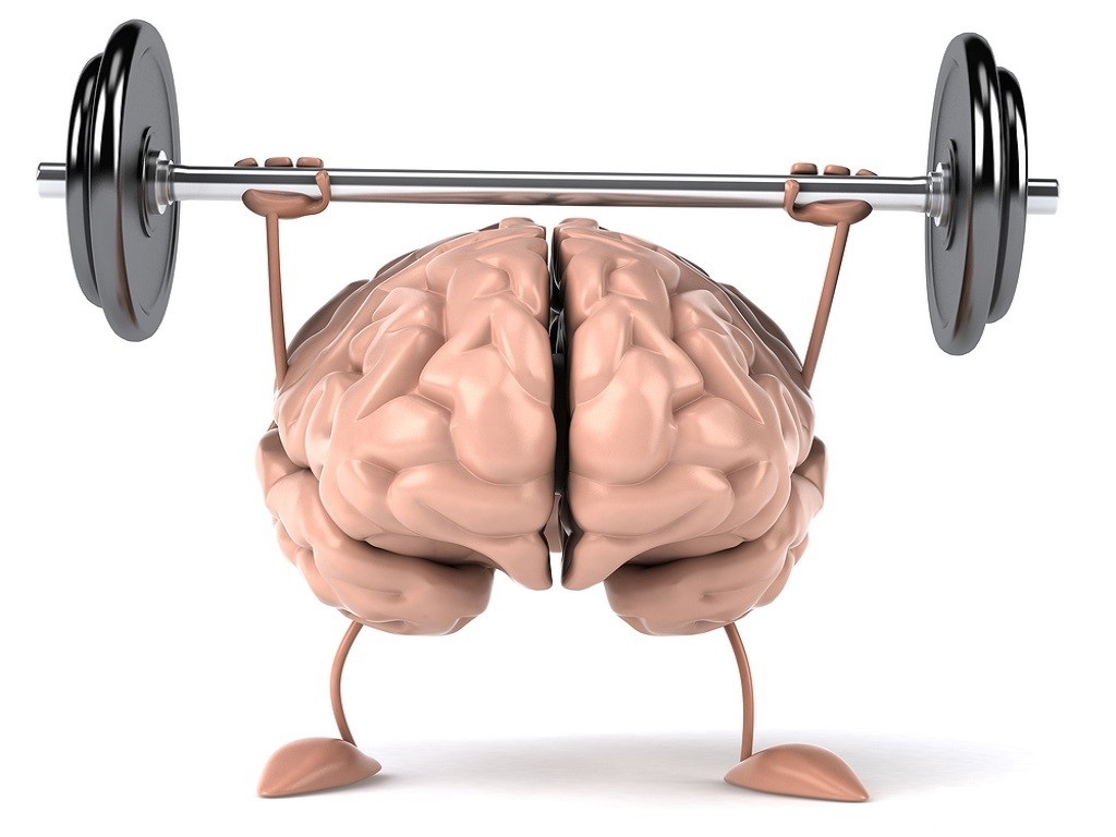 Мозг тренирует память