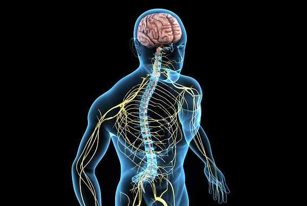 Степень выраженности невротизма зависит от врожденных особенностей нервной системы