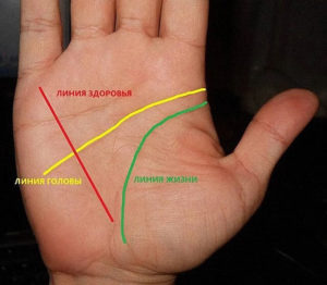 Значение линий на руке