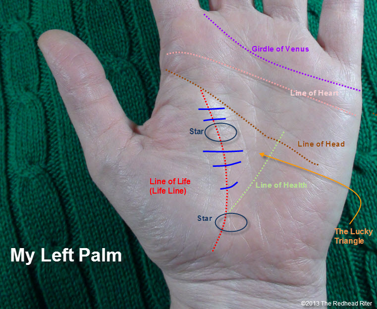 Read Palm Life Line Palmistry