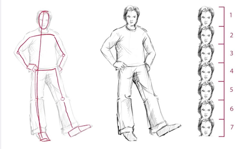 Basic Figure Drawing Proportions