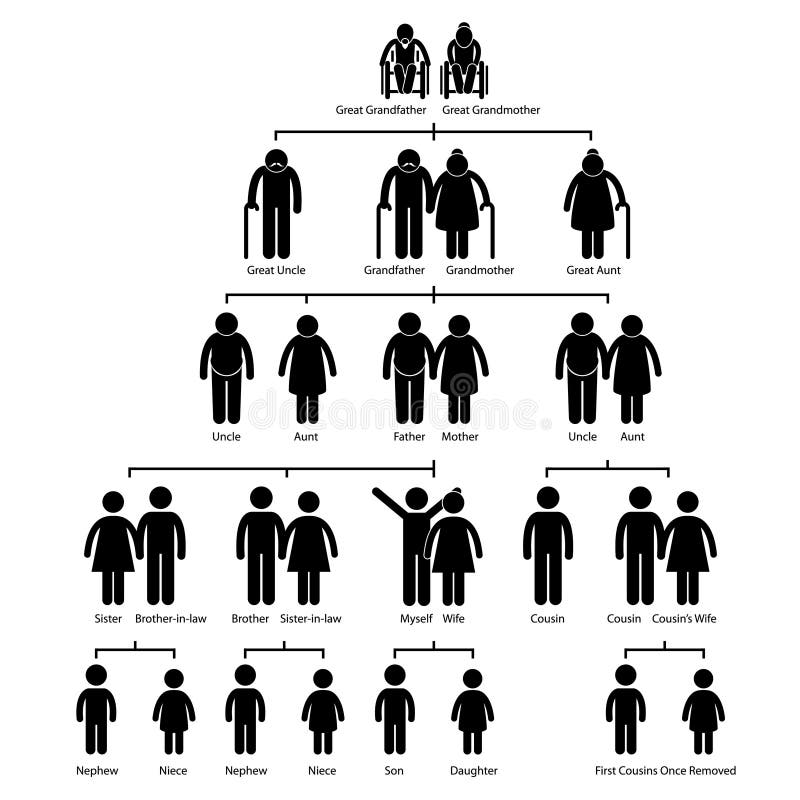 Family Tree Genealogy Diagram Pictogram. A set of pictogram representing the family tree of human royalty free illustration