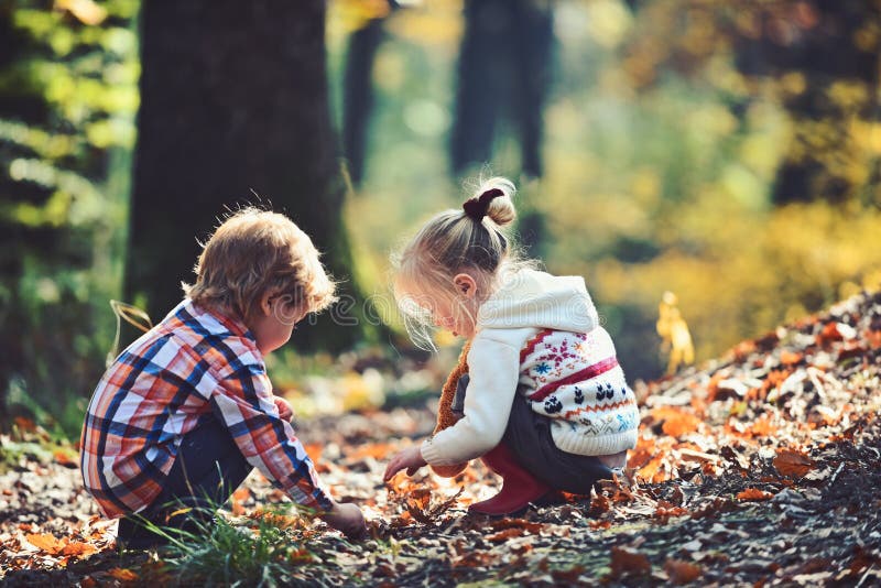 Kids activity and active rest. Children pick acorns from oak trees. Brother and sister camping in autumn forest. Little. Boy and girl friends have fun on fresh stock image