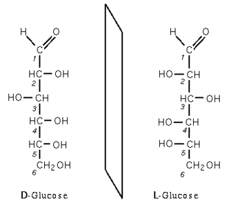 D et l glucose.png