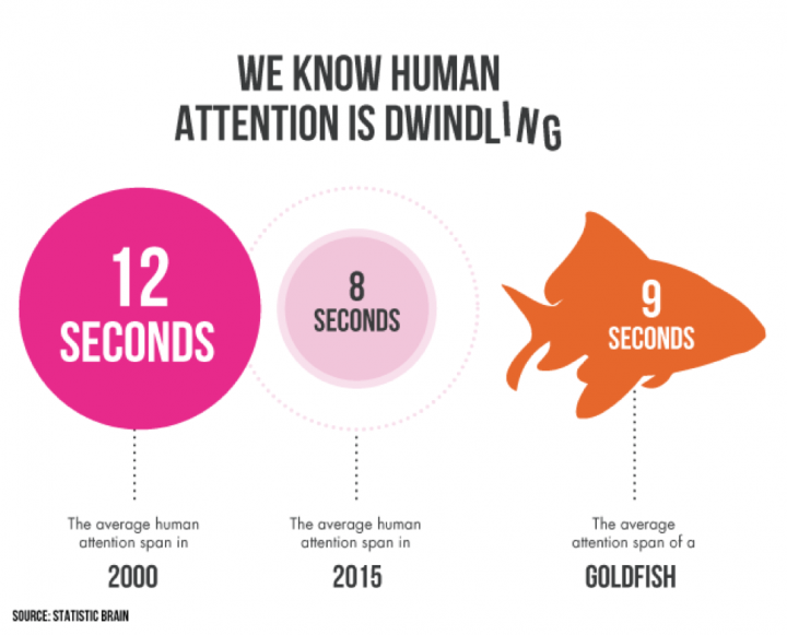Human Attention goldfish