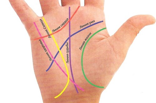 Как читается значение линии жизни на руке