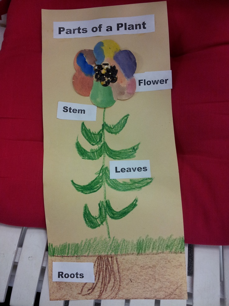 pre school science activities 13