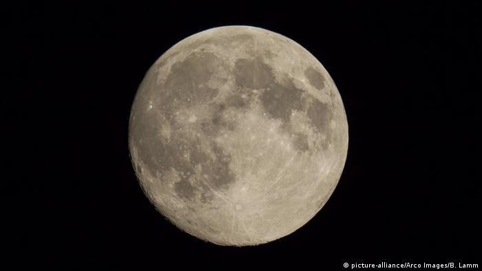 Full moon in the night sky (picture-alliance/Arco Images/B. Lamm)