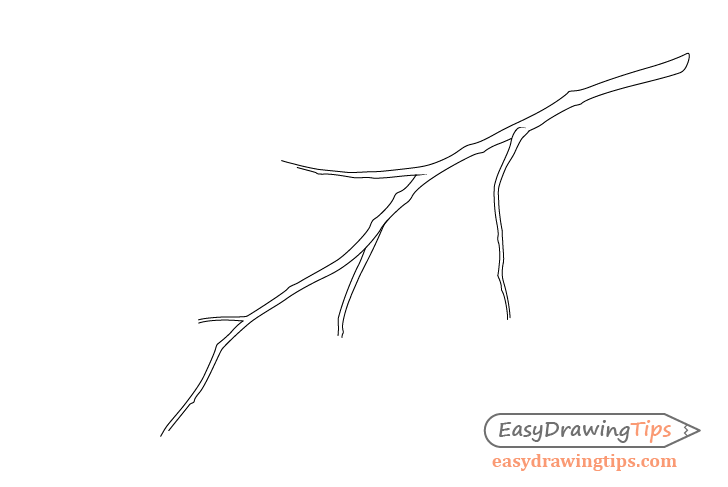 Branch drawing