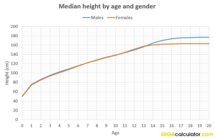 median height us citizens