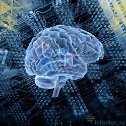 Сколько мегабайт вмещает человеческий мозг?