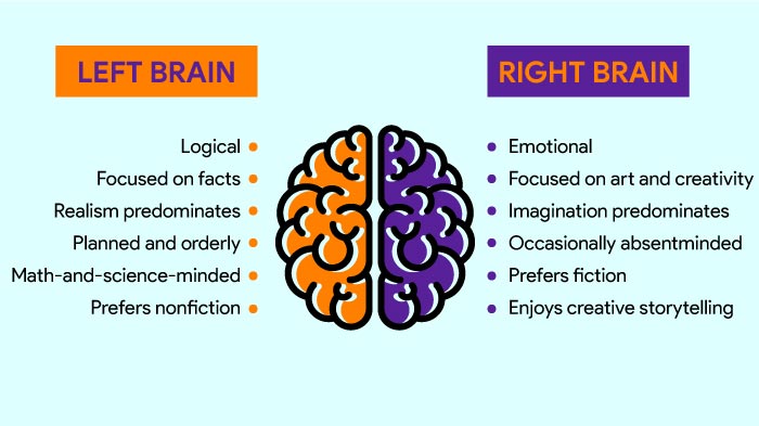 right brain left brain
