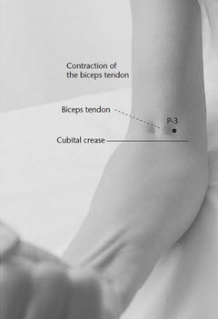 Pericardium 3