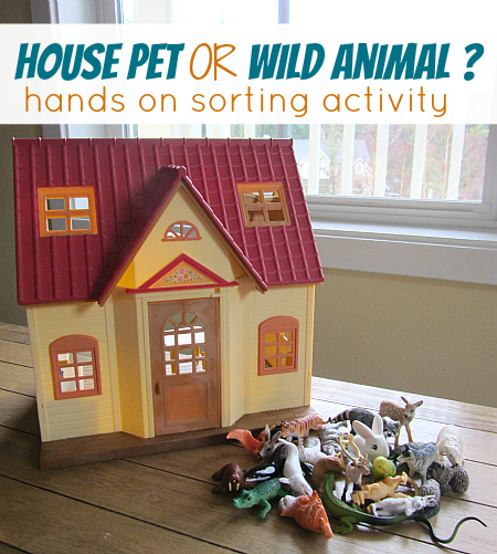 house pet or wild animal sorting activity no time for flash cards 