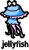 illustration of a cartoon jellyfish