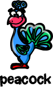 illustration of a cartoon peacock