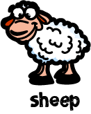 illustration of a cartoon sheep