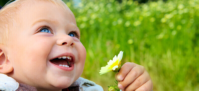 Happy toddler with a flower