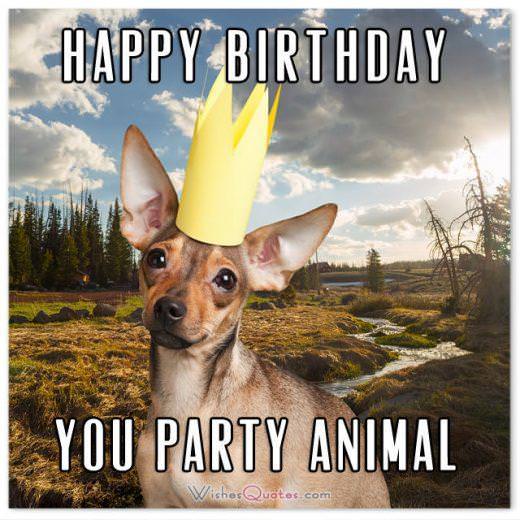 HAPPY BIRTHDAY YOU PARTY ANIMAL. Funny Birthday Messages.